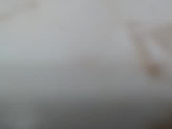 junk_yard_dog webcam model stream image