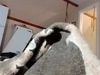 ffiranek89 webcam model stream image