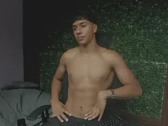 damon_sw webcam model stream image