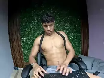 damon_sw webcam model stream image