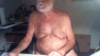 Seniorhengst webcam model stream image