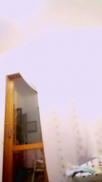 nikol22934 webcam model stream image