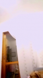 nikol22934 webcam model stream image