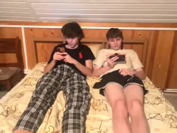 dimamozaev400 webcam model stream image