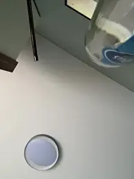 Linus2452 webcam stripchat model stream image