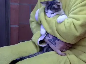 pamelasophia19 webcam model stream image