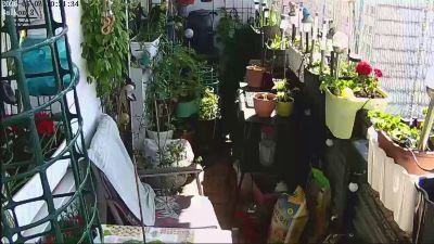sweetnude83 webcam cam4 model stream image