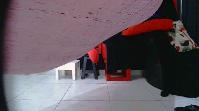 SAPIA_SEXUAL webcam model stream image