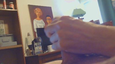 bobbyed webcam model stream image