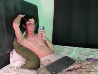 seijaku_segi webcam model stream image