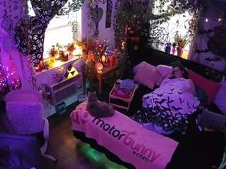 voyeurcam-veccasalt-01 webcam camsoda model stream image