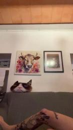 Rubiaymoreno webcam cam4 model stream image