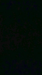 gwkk206081 webcam model stream image