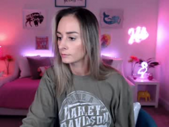 holihurricane webcam model stream image