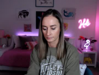 holihurricane webcam model stream image