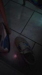 Couplepapillon webcam model stream image