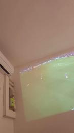 Couplepapillon webcam model stream image