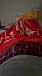 barba_roja webcam model stream image