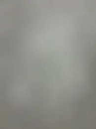 hanjason webcam model stream image