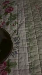 Riccicapricci84 webcam model stream image