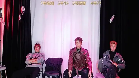 YCBOYS-001 webcam model stream image