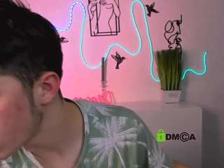 mister-vice webcam model stream image