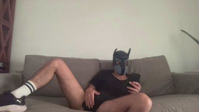 arianxs webcam model stream image