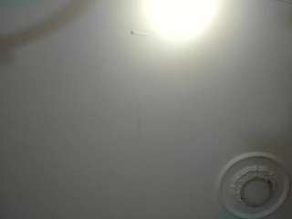 apotheosiss webcam model stream image