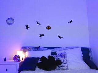 Sindel Dark webcam model stream image