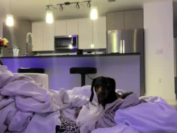 camiliakxoxo webcam model stream image