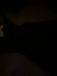 Milana_UK webcam model stream image