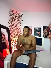 ARTHUR_MINI webcam model stream image