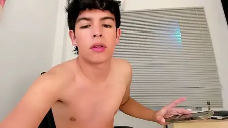 Blum_icee webcam model stream image