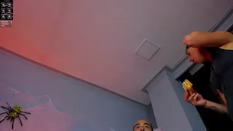 2_fire webcam model stream image