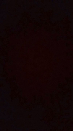 Nadi29 webcam model stream image