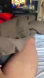 Lianrose26 webcam model stream image