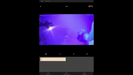 AlanDicksons webcam model stream image