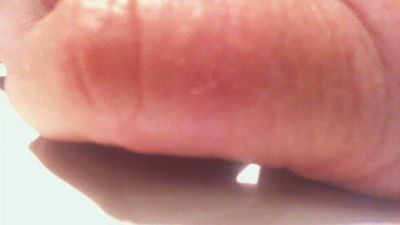 Pfaelzer61 webcam model stream image