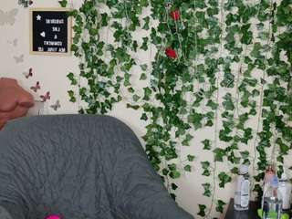 butterflybooty webcam model stream image