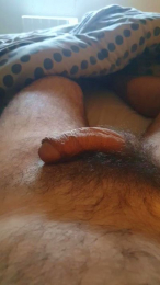 Did66 webcam cam4 model stream image