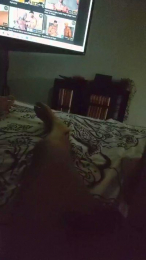 Paregay webcam model stream image