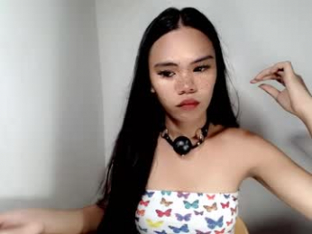 hollyhalo webcam model stream image