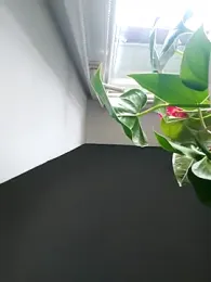 Czarnoksieznik webcam stripchat model stream image