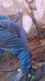 Nuevo69 webcam model stream image