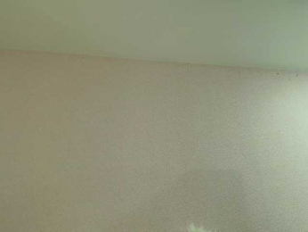 Ariellaa webcam model stream image