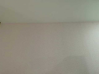 Ariellaa webcam model stream image