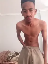 gemini_loops webcam model stream image