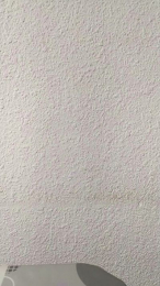 Salido042 webcam model stream image