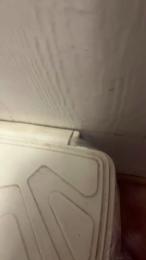 potrillo36 webcam model stream image