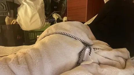 18yoteenvirgin webcam model stream image